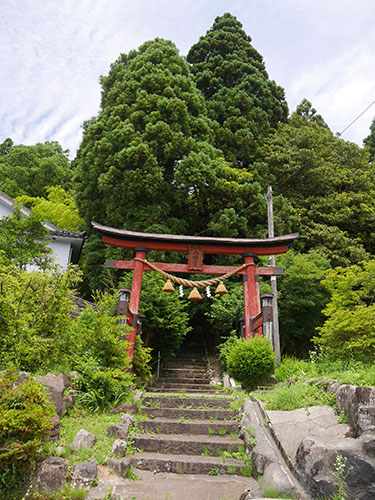 八幡神社 (蓮田市上平野)