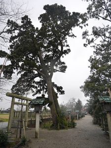 櫛田神社