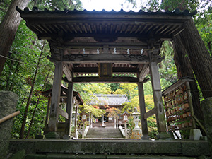 柴神社