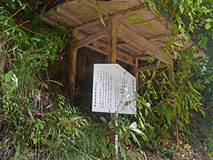 賀茂神社