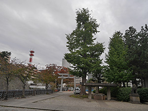 福井神社