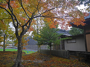 八日市普活廼神社