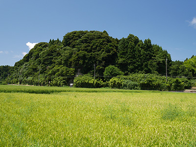 能登島内の城　能登半島地震の被害状況