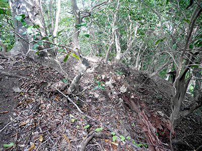 馬緤砦　能登半島地震の被害状況