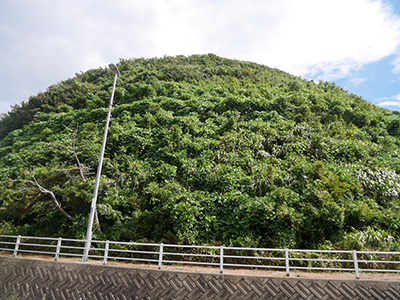 馬緤砦　能登半島地震の被害状況