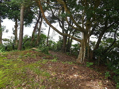 越坂城　能登半島地震の被害状況