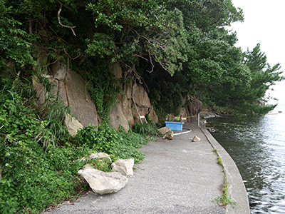 越坂城　能登半島地震の被害状況