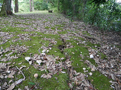 棚木城　能登半島地震の被害状況