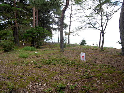 棚木城　能登半島地震の被害状況