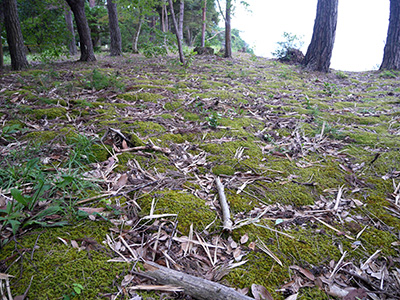 棚木城　能登半島地震の被害状況