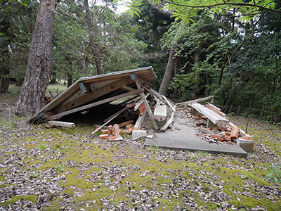 棚木城　能登半島地震の被害状況