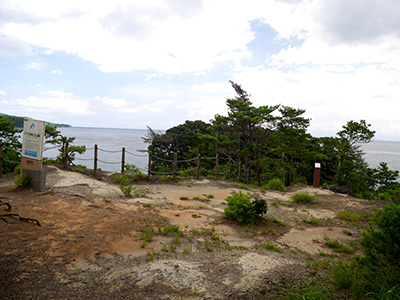 棚木城　能登半島地震の被害状況