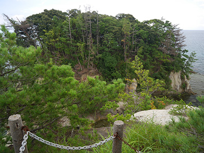 棚木城　能登半島地震の被害状況